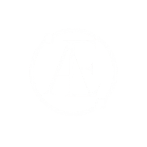 AutomationExpert white logo transparent